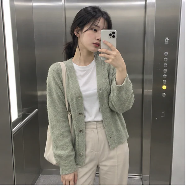 고덕 윈터 케어 안내 이미지